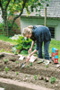 making leaf compost